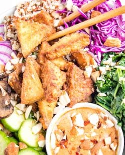 Close up of a brightly filled bowl of vegan food. Crispy triangles of tofu, sliced purple radishes, bright garlicky greens, sauteed mushrooms, tri-color quinoa, and a small bowl of almond butter dressing. Chopped almonds scattered over everything.