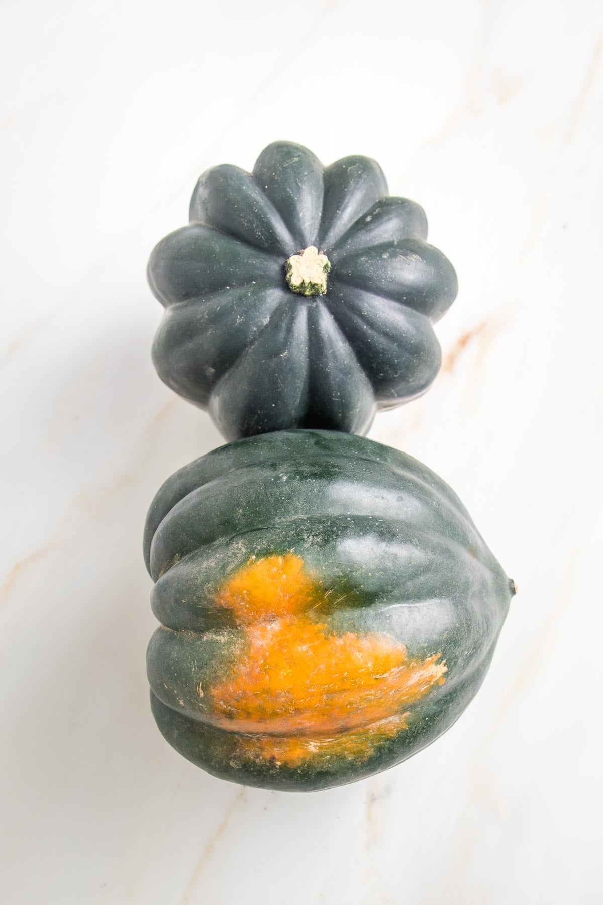 Close up of two acorn squash. One is dark green, with the stem showing. THe other is laying on its side and shows an orange patch along with the res being dark green.