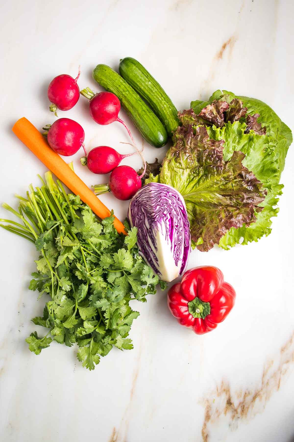 Raw ingredients for spring rolls: lettuce leaves, red bell pepper, purple cabbage, radishes, cucumbers, carrot and fresh cilantro.