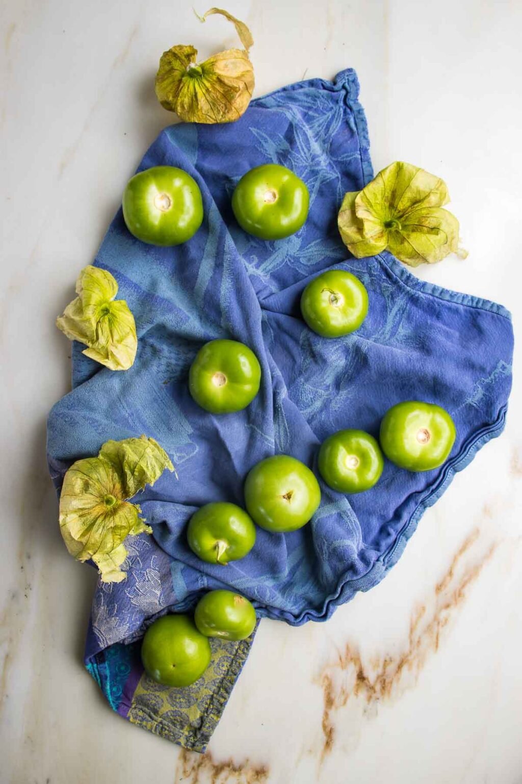 Roasted Tomatillo Salsa Recipe Debra Klein