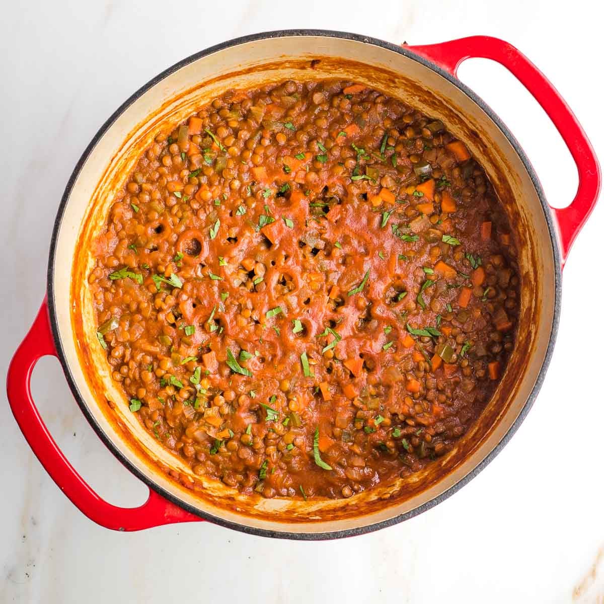 Vegan sloppy joes in a dutch oven, sprinkled with fresh herbs.