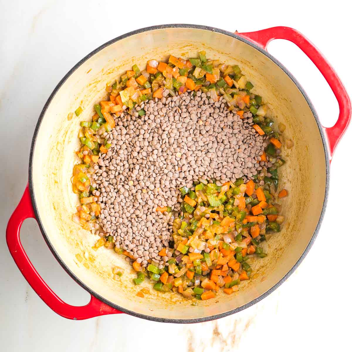 Sauteed onions, carrots and peppers in spices with dried brown lentils on top.