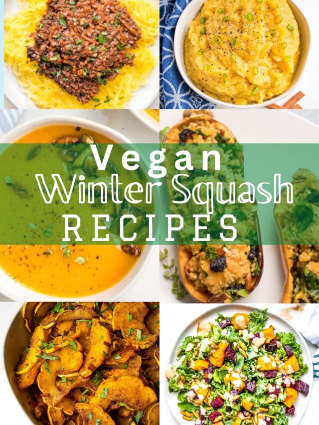 Collage of 6 photos of recipes using squash and written across the middle, "vegan winter squash recipes."