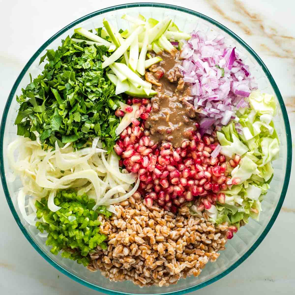Bowl with sections of pomegranate seeds, parsley, green apple, red onion, farro, thinly sliced fennel, diced jalapeno and cabbage.