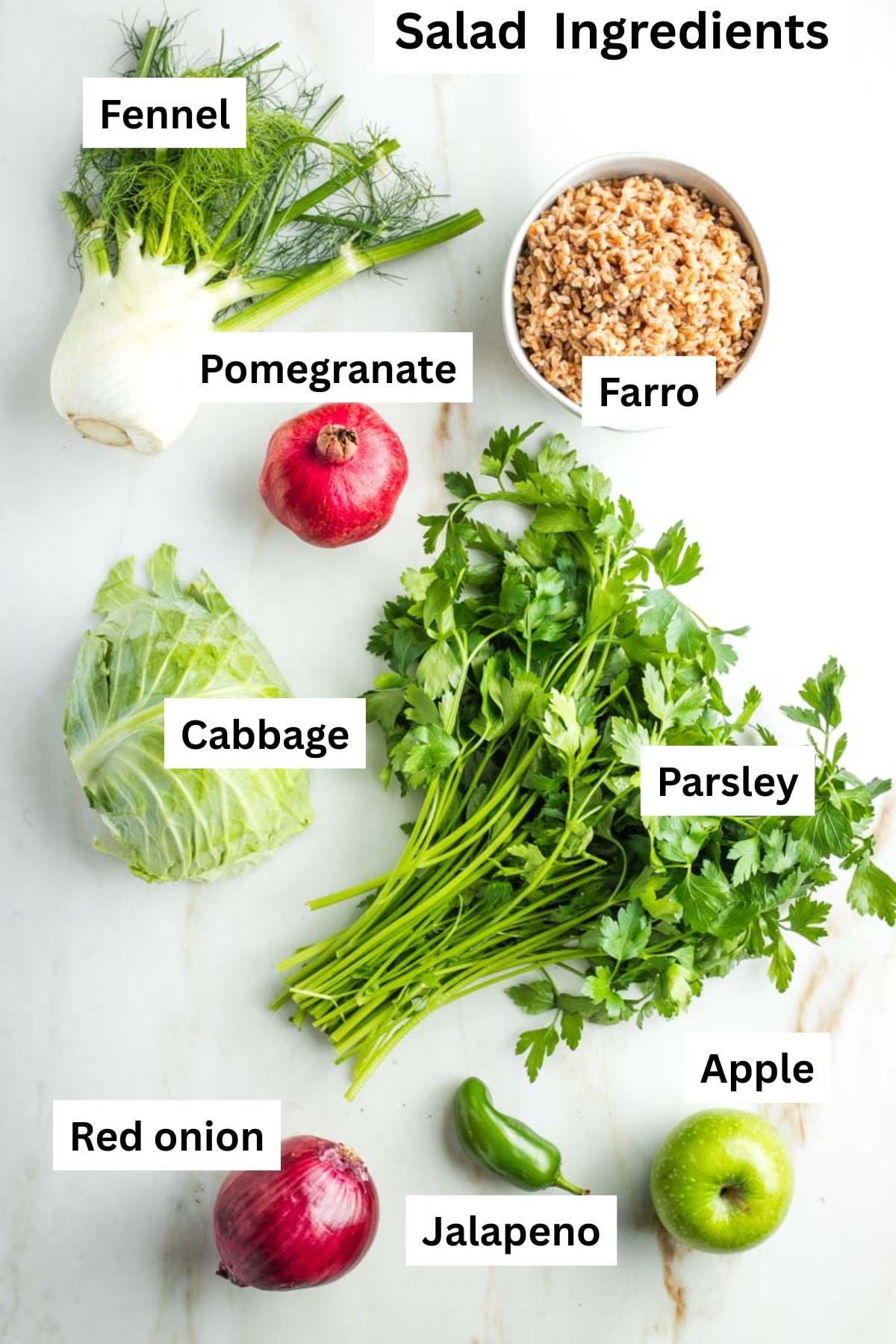 Labeled ingredients: fennel, farro, pomegranate, cabbage, parsley, red onion, jalapeno and apple.