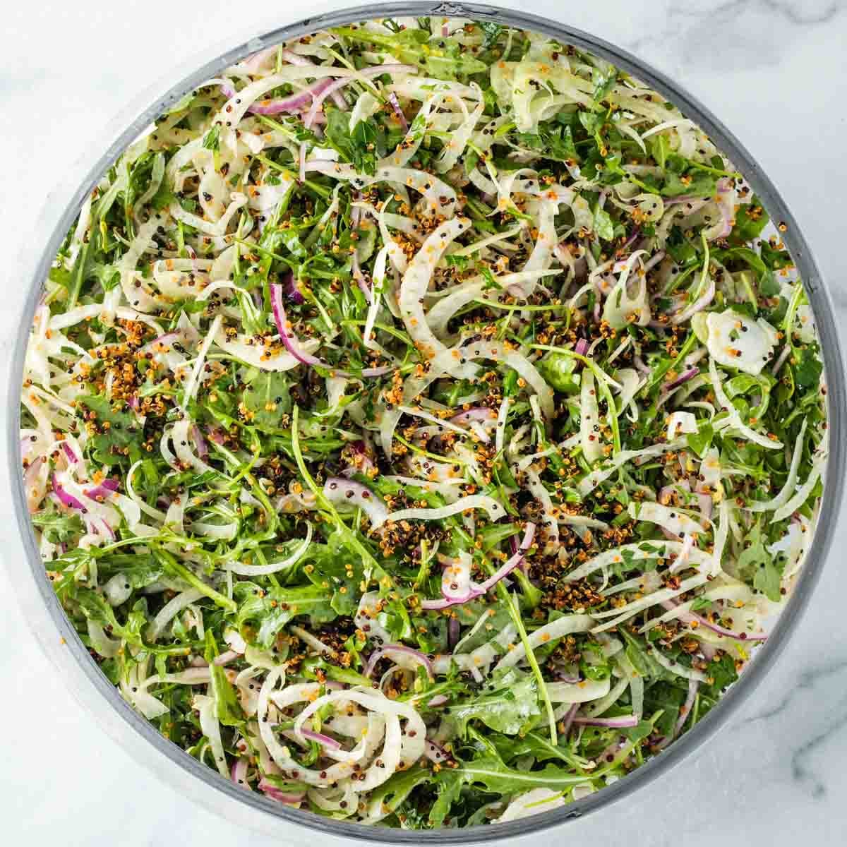 Chopped salad with shaved fennel, onion, arugula and crispy quinoa.