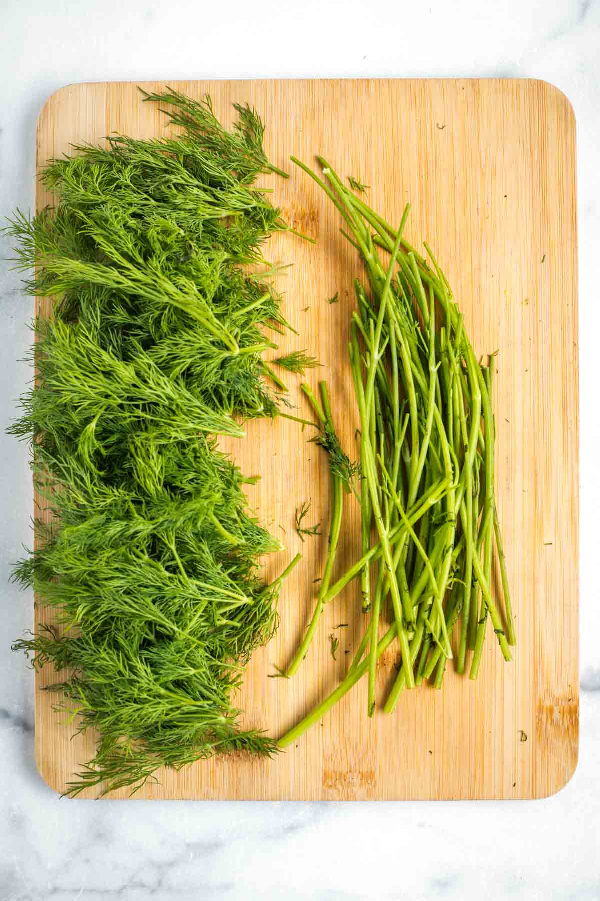 Fresh dill separated fronds from the woody stems. 
