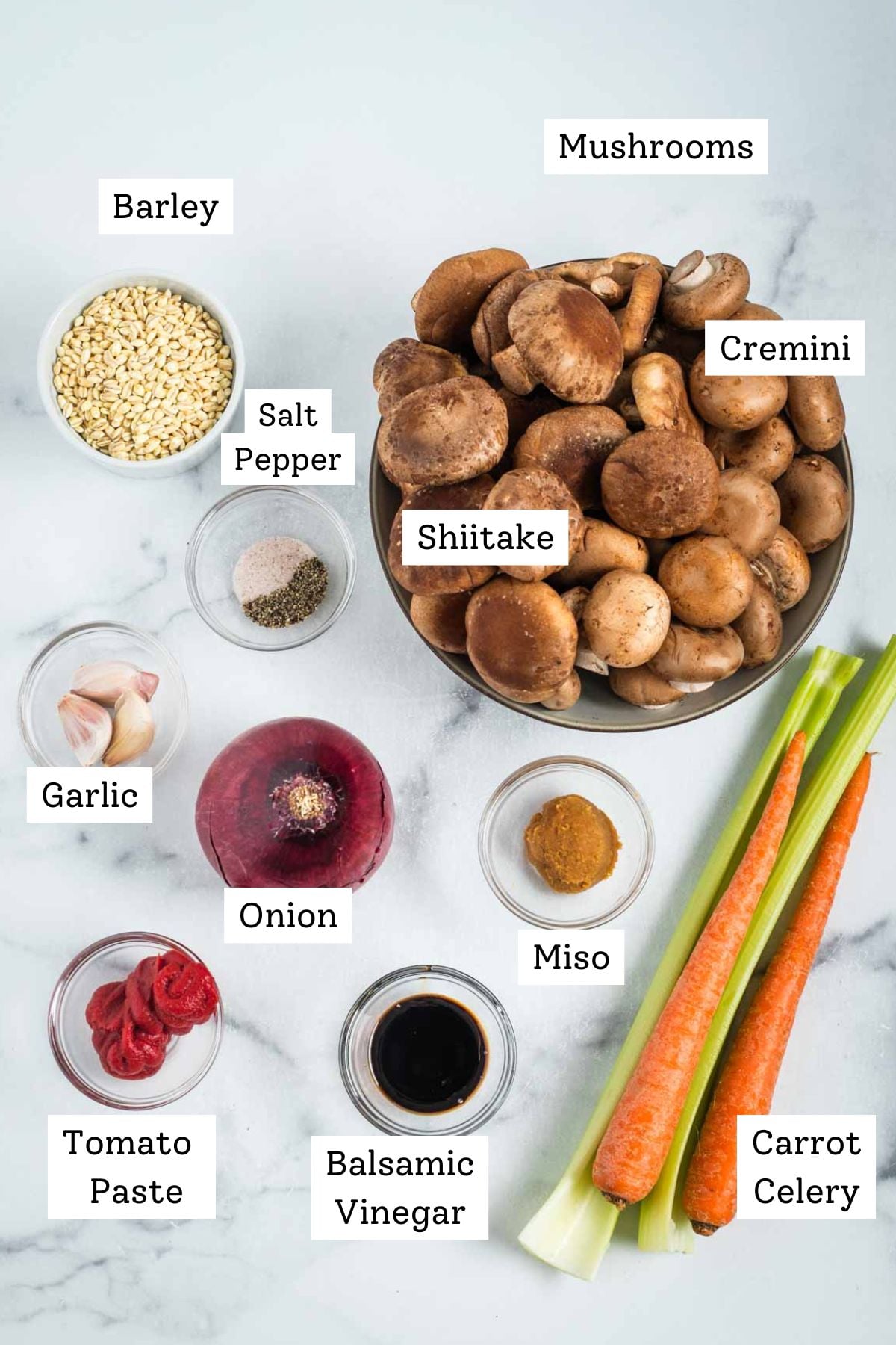 Labeled ingredients for soup: two kinds of mushrooms, barley, carrot, celery, onion, tomato paste, balsamic vinegar, miso, garli, salt and pepper.