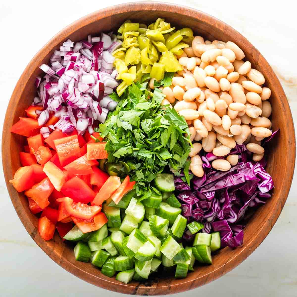Bowl of pasta with sections on top of bell peppers, cucumbers, cabbage, white beans, onions, parsley and pepperoncini. 